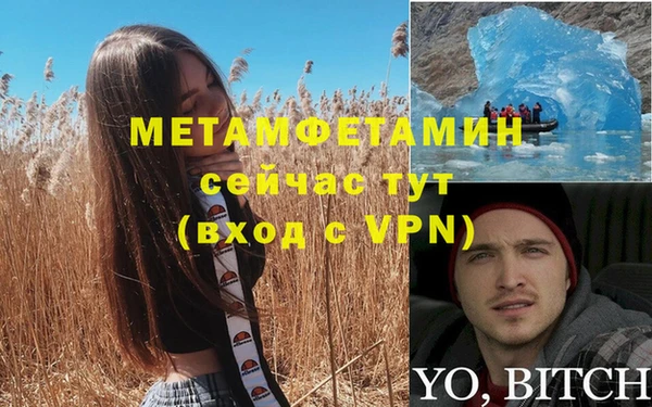 гидра Лихославль