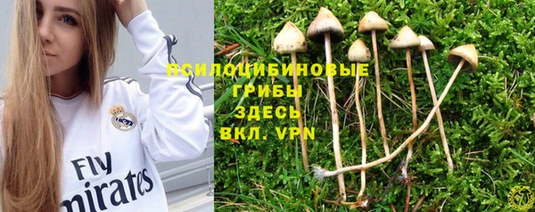 гидра Лихославль