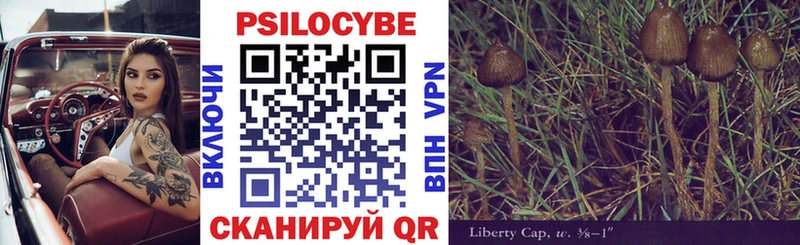 как найти закладки  Топки  МЕГА   Псилоцибиновые грибы Psilocybe 