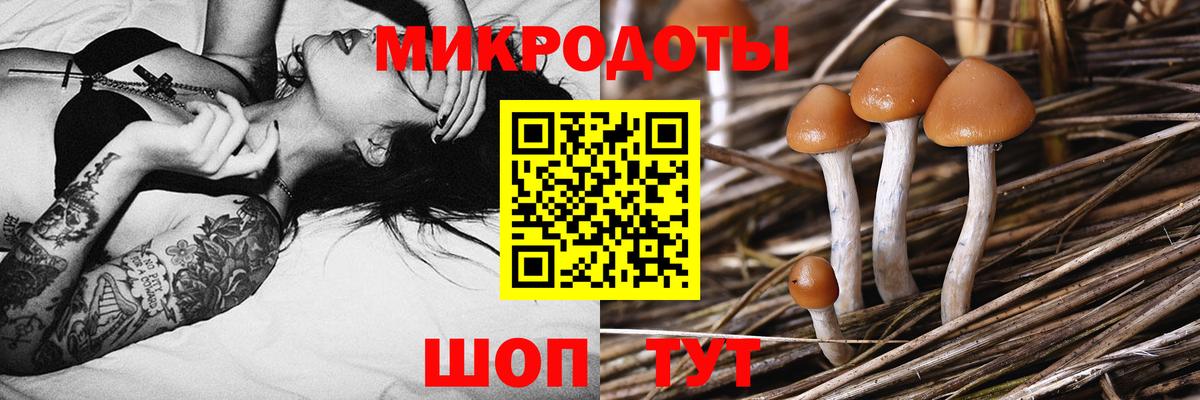 Псилоцибиновые грибы Cubensis Топки