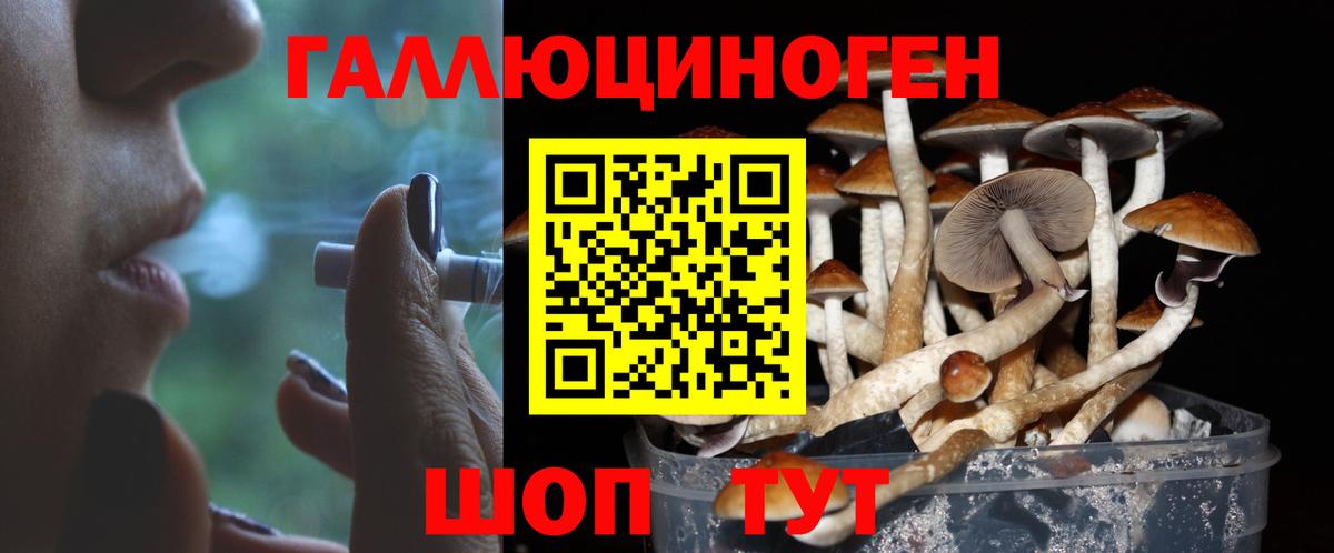 Псилоцибиновые грибы прущие грибы  Вход с VPN  Топки 